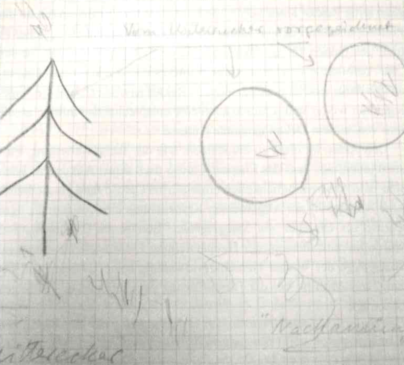 caruso_untersuchung_spiegelgrund